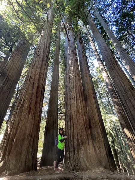 Dipsea Trail — Muir Beach Section