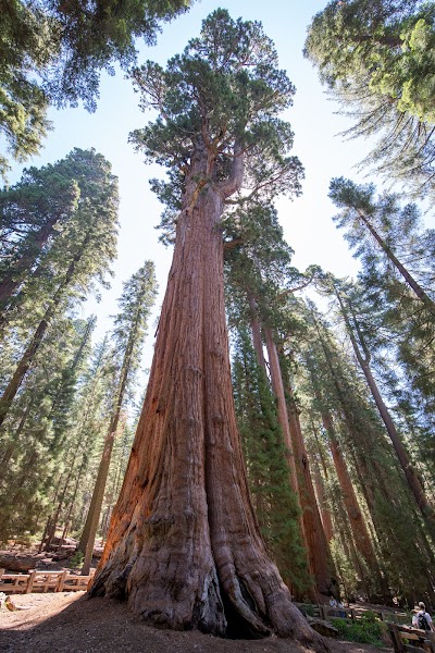 Sequoia National Park