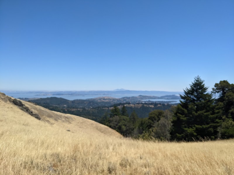 Old Mine Trail & Coastal Trail — Pantoll to East Peak