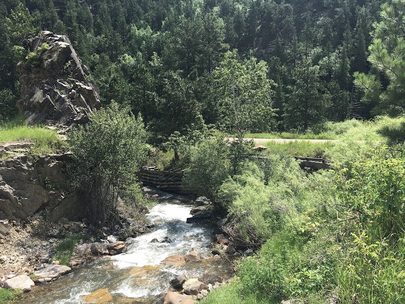 Kirk Trail & northern-hills forest loop