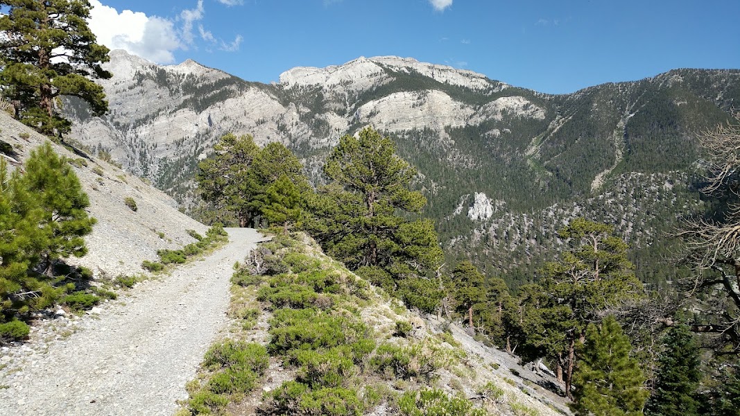 Charleston Peak Trailhead — Bristlecone Trail