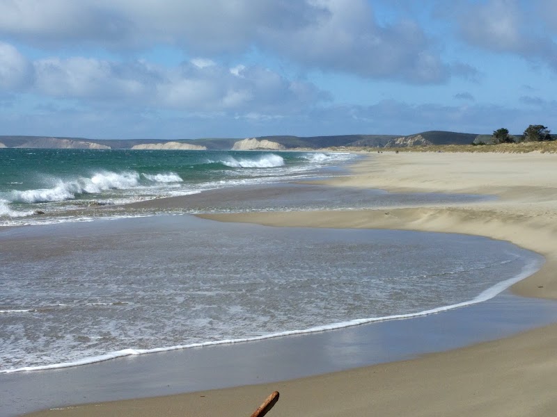 Limantour Beach & Limantour Spit Trail