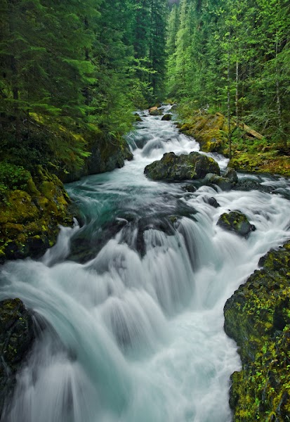 Opal Creek Trail to Opal Pool