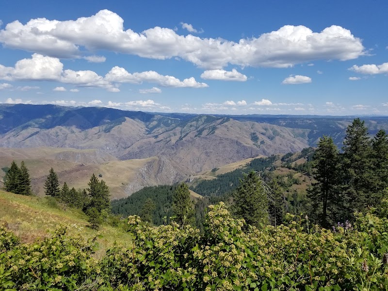 Council Mountain & the Hells Canyon Foothills Drive