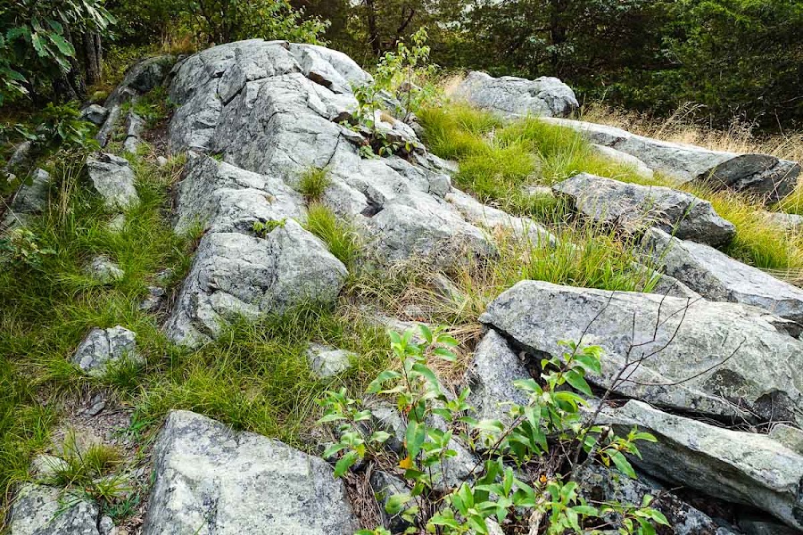 Appalachian Trail — Kittatinny Ridge Ridge Walk