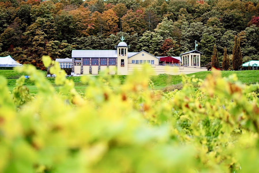 Heron Hill Winery