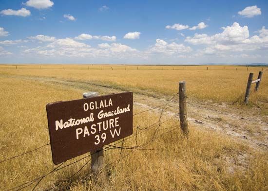 Oglala National Grassland prairie walk