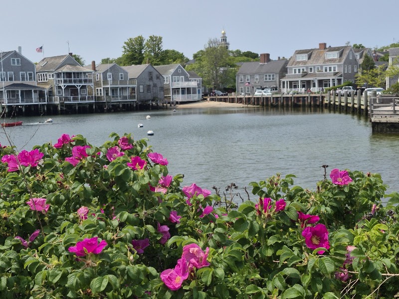 Nantucket Ferry — Steamship Authority