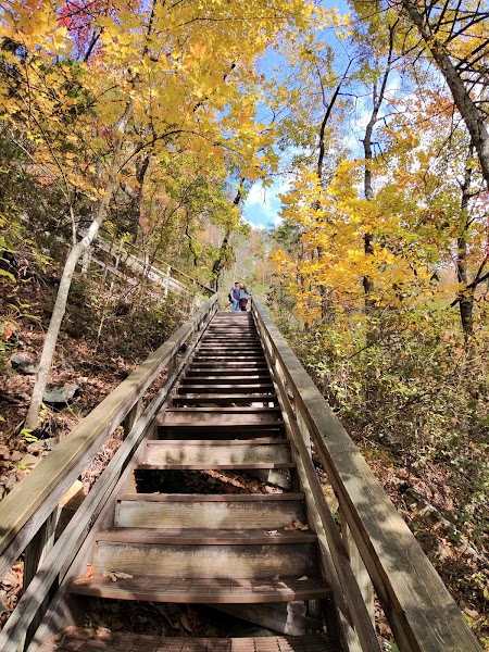 Jane Withers Suspension Bridge & Gorge Floor