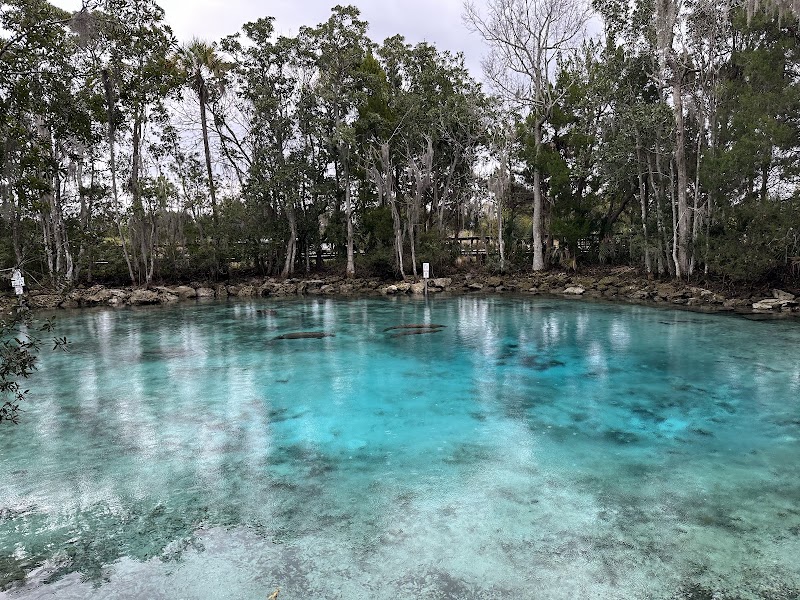 Three Sisters Springs — Crystal River National Wildlife Refuge