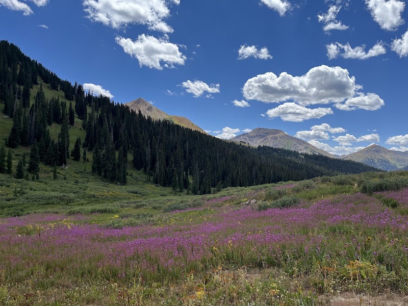 West Maroon Trail to West Maroon Pass