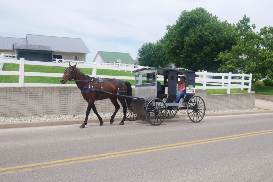 Amish Country Buggy Ride & Millersburg