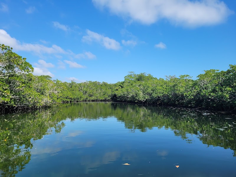 John Pennekamp Coral Reef State Park — Snorkel or Glass-Bottom Boat Tour