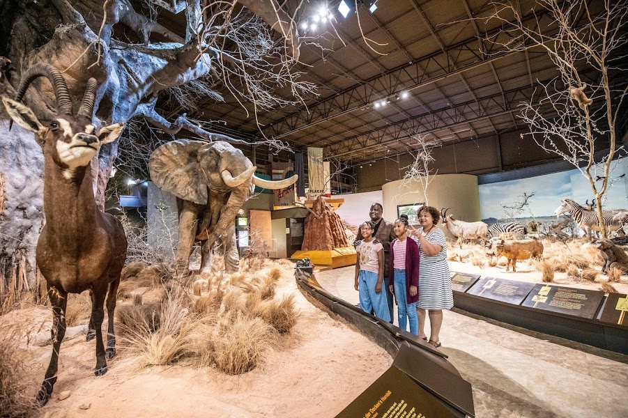 Anniston Museum of Natural History
