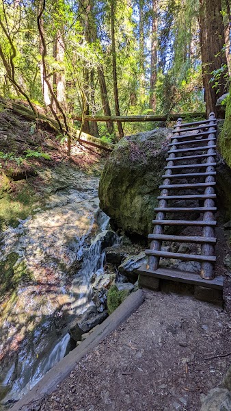 Steep Ravine Trail — Mount Tamalpais