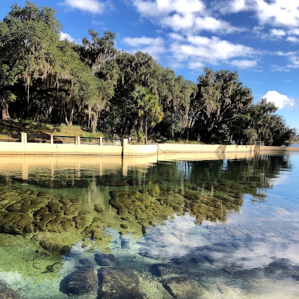 Salt Springs
